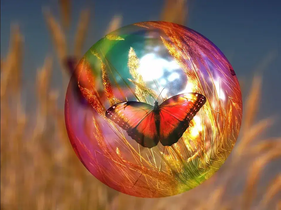Un papillon aux ailes rouges à l'intérieur d'une bulle irisée, dans les blés