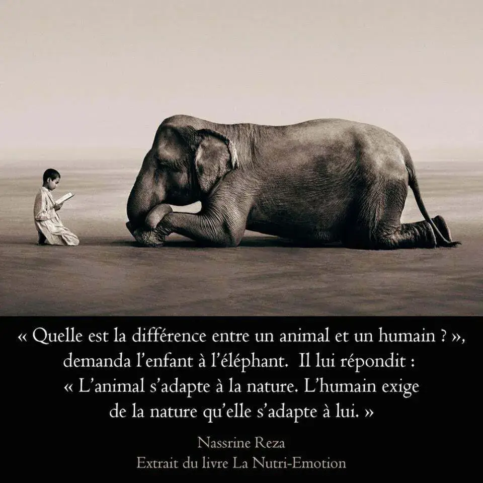 « Quelle est la différence entre un animal et un humain ? », demanda l'enfant à l'éléphant. Il lui répondit : « L'animal s'adapte à la nature. L'humain exige de la nature qu'elle s'adapte à lui. » Nassrine Reza, extrait du livre La Nutri-Emotion.