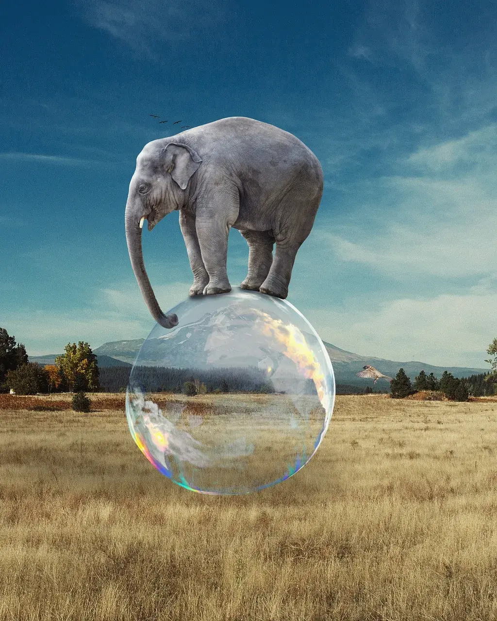 Un éléphant en équilibre sur une bulle de savon, au-dessus d'un pré