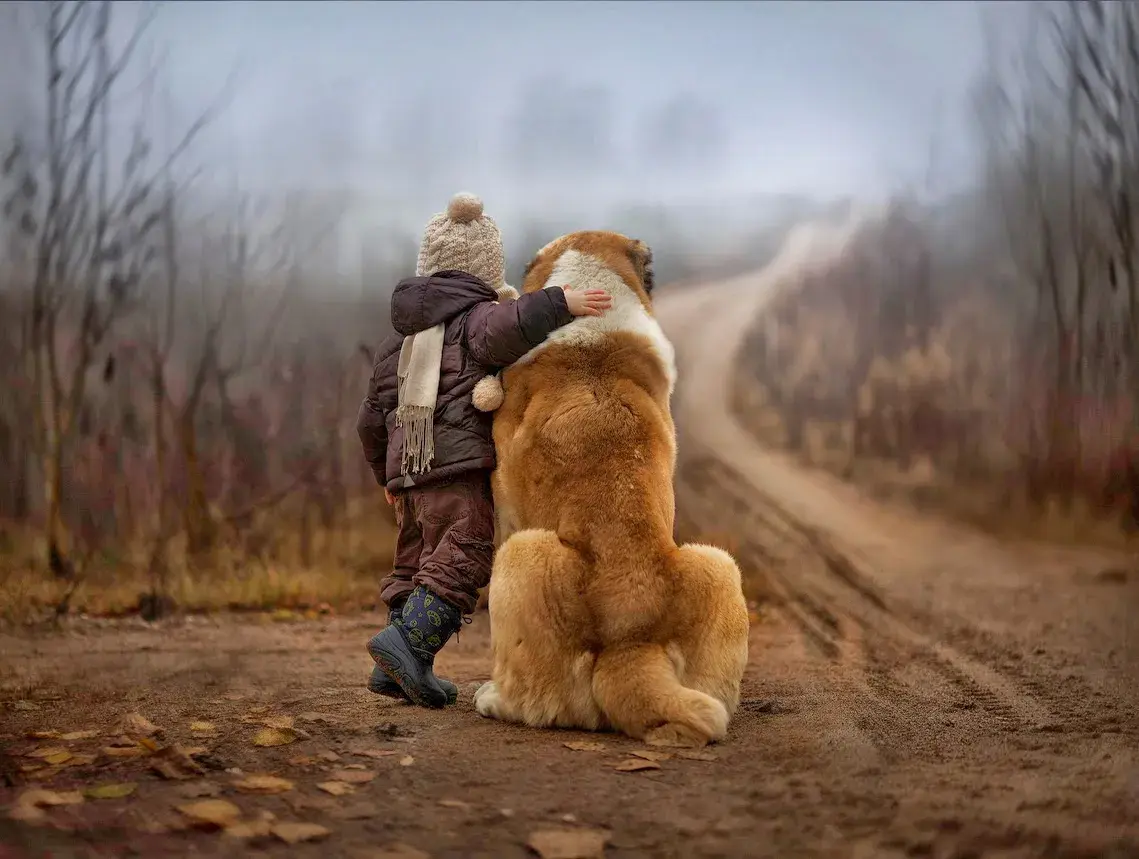 Un enfant et un chien assis côte à côte, de dos, sur un chemin de campagne
