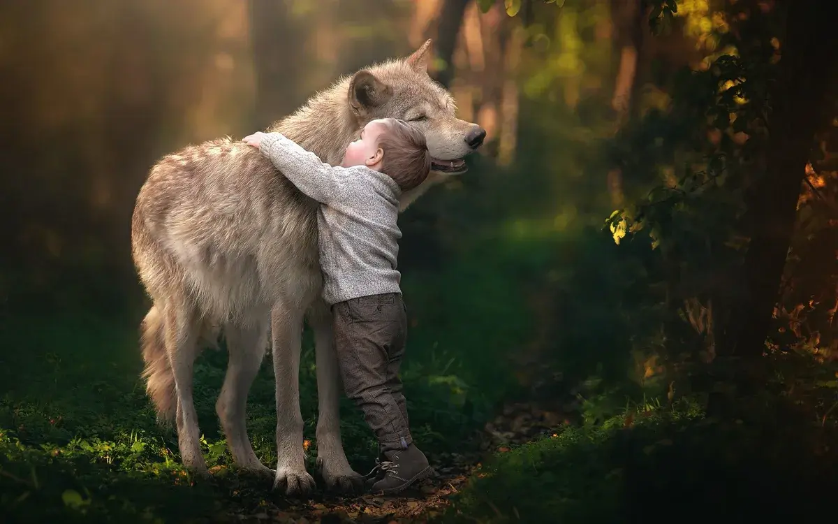 Un enfant enlaçant un loup dans une forêt baignée de lumière